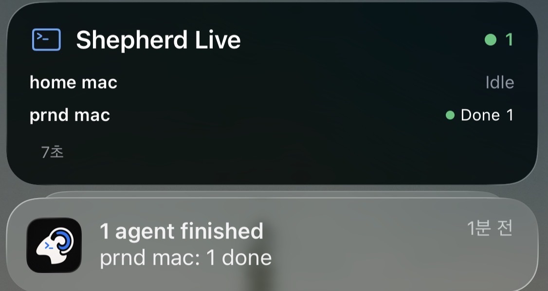 Shepherd Live Activity and completion notification showing one finished agent