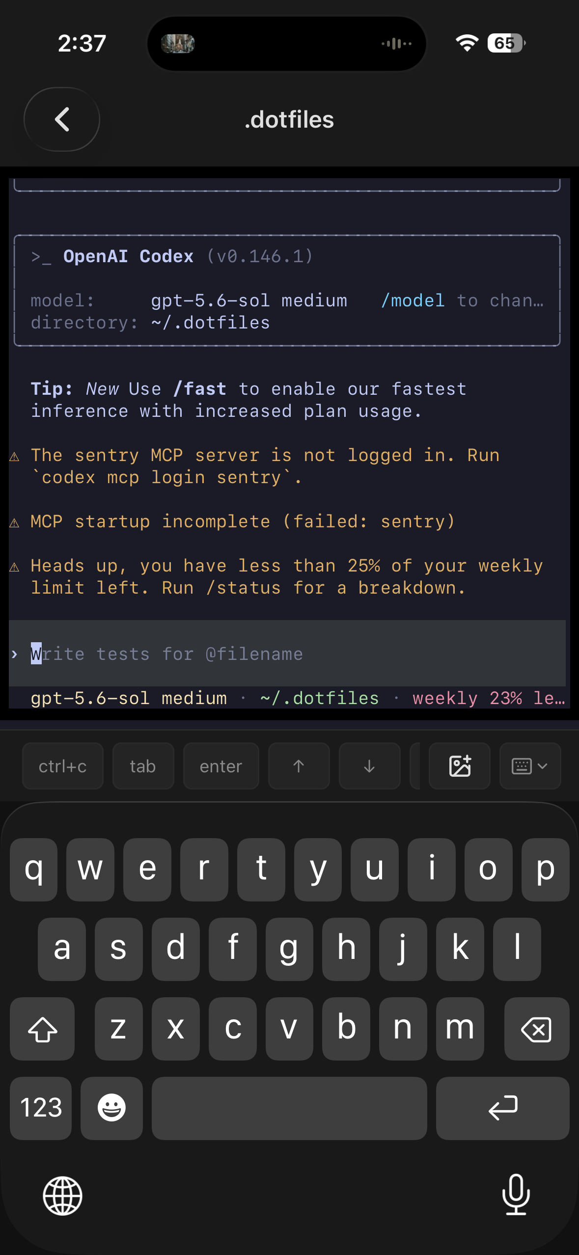 A live Codex terminal session in Shepherd SSH with the mobile keyboard and terminal shortcuts visible